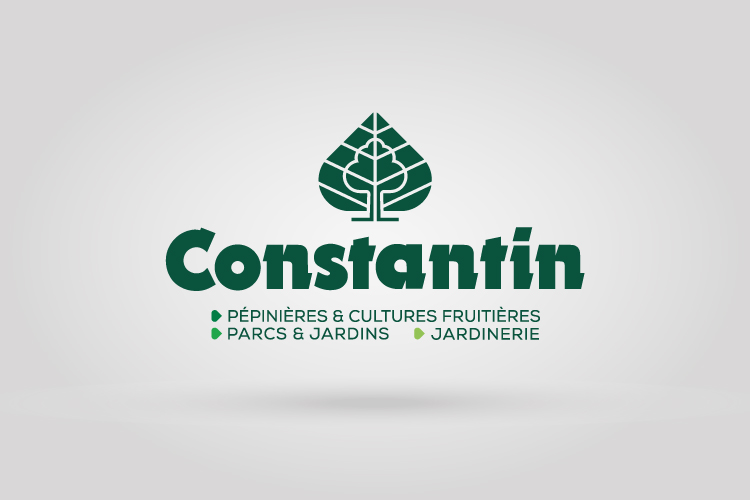 Identité visuelle « Constantin »